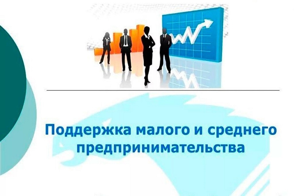 Меры и формы государственной поддержки, оказываемые Агентством по предпринимательству и инвестициям Республики Дагестан субъектам малого и среднего предпринимательства